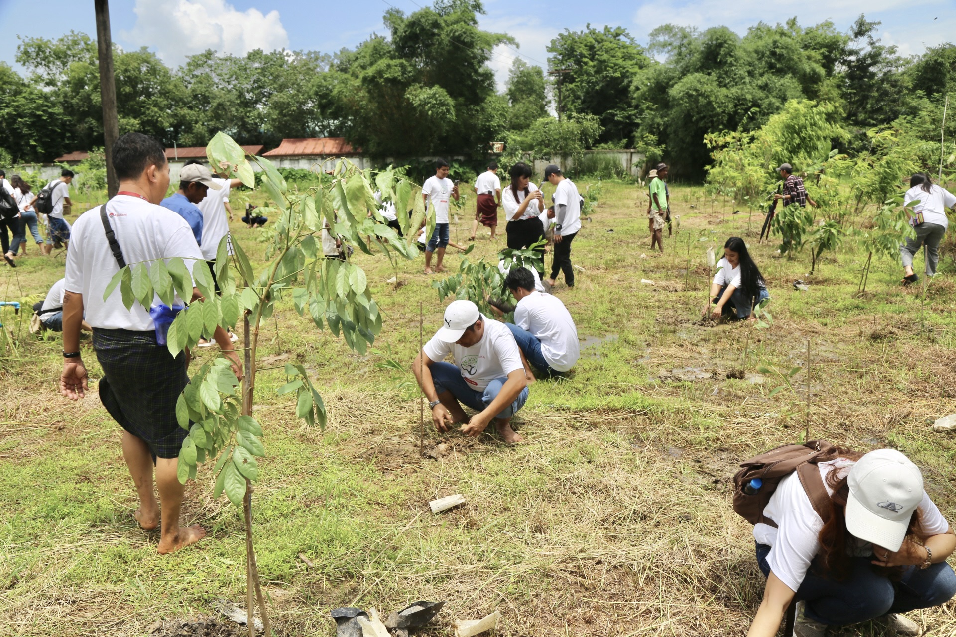 AYA Bank Holds Annual Tree Planting Campaign, Reinforcing Its Commitment to a Greener Future